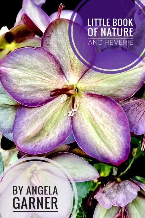 Produktbild: Little Book of Nature and Reverie