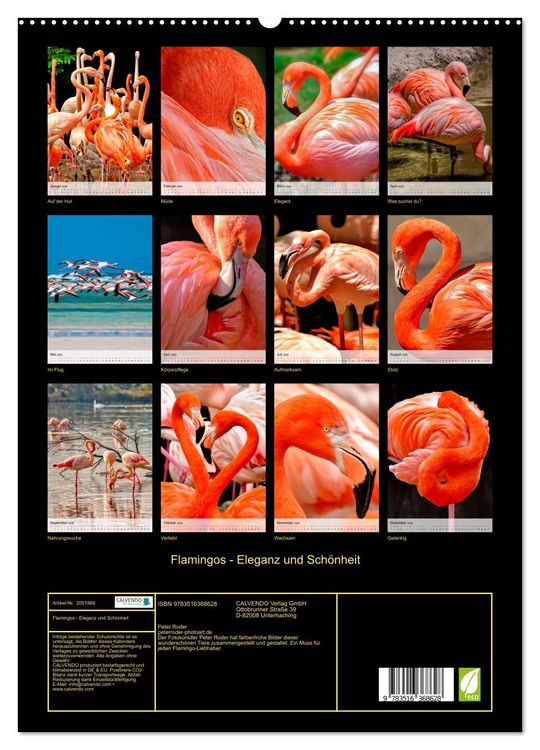 Produktbild: Flamingos - Eleganz und Sch&ouml;nheit (Wandkalender 2026 DIN A2 hoch), CALVENDO Monatskalender