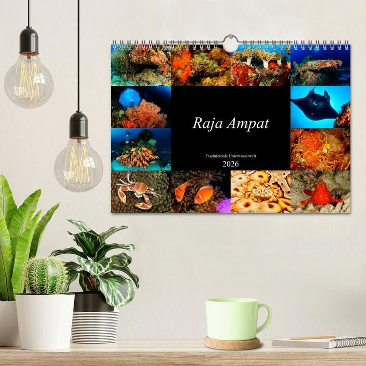 Produktbild: Raja Ampat - Faszinierende Unterwasserwelt (Wandkalender 2026 DIN A4 quer), CALVENDO Monatskalender