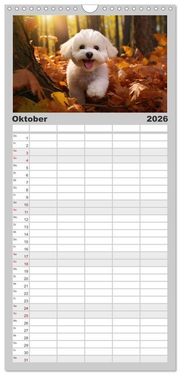 Produktbild: Familienplaner 2026 - Bichon fris&eacute;, wei&szlig;e H&uuml;ndchen mit lockigem Haar mit 5 Spalten (Wandkalender, 21 x 45 cm) CALVENDO