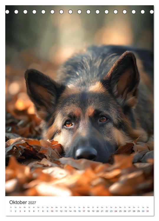 Produktbild: Seelenblick Sch&auml;ferhund (Tischkalender 2027 DIN A5 hoch), CALVENDO Monatskalender