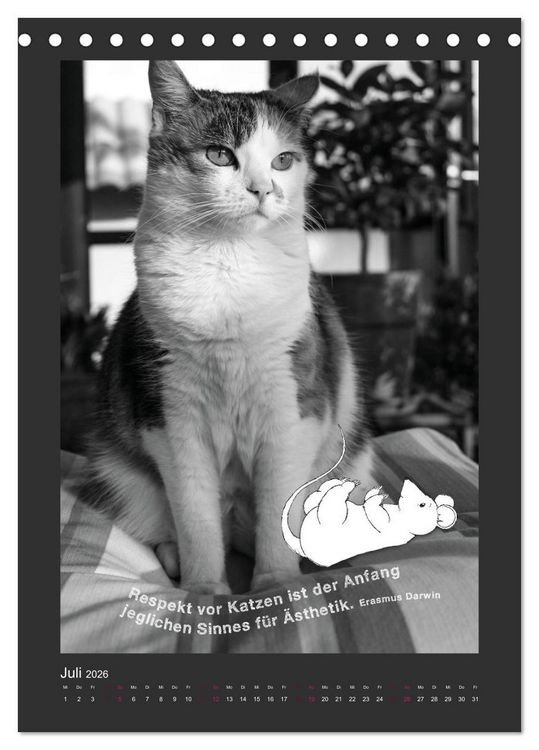 Produktbild: Katz & Maus (Tischkalender 2026 DIN A5 hoch), CALVENDO Monatskalender
