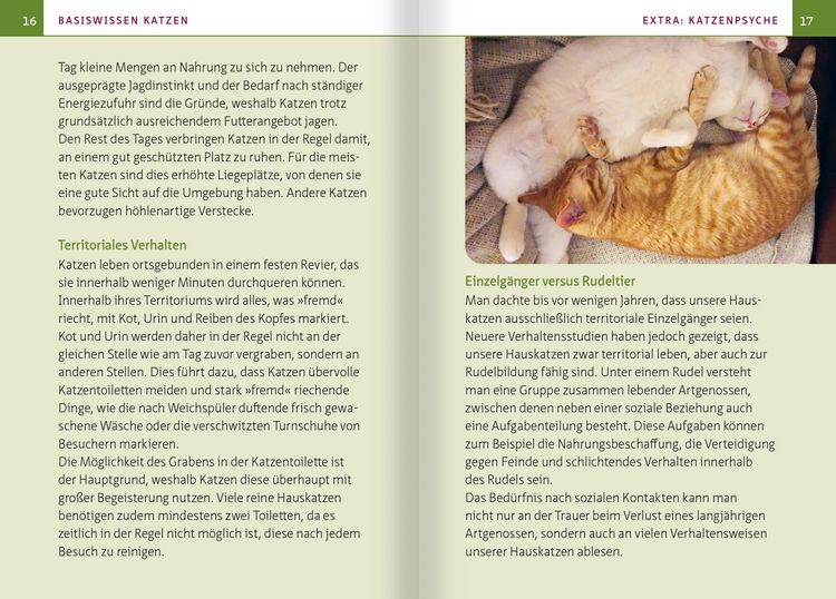 Produktbild: Gr&uuml;ne Hausapotheke f&uuml;r Katzen. Kompakt-Ratgeber