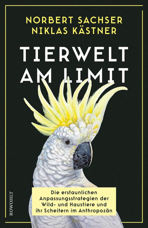 Produktbild: Tierwelt am Limit