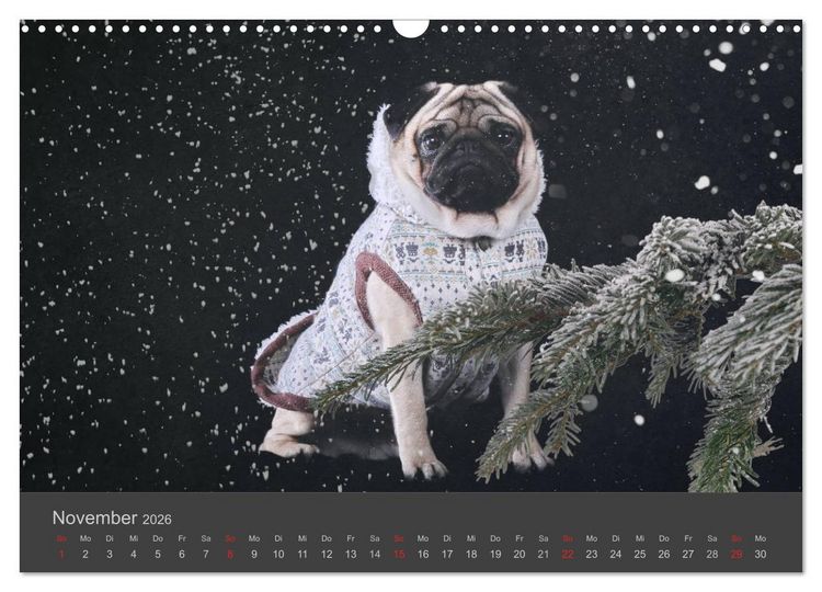 Produktbild: HUNDE LEBEN IST BUNT (Wandkalender 2026 DIN A3 quer), CALVENDO Monatskalender