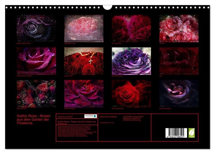 Produktbild: Gothic Rose - Rosen aus dem Garten der Finsternis (Wandkalender 2026 DIN A3 quer), CALVENDO Monatskalender