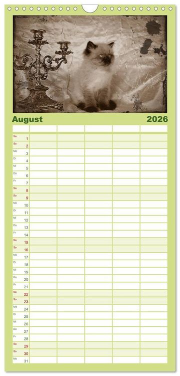 Produktbild: Familienplaner 2026 - Oma's Katzenkalender 2026 mit 5 Spalten (Wandkalender, 21 x 45 cm) CALVENDO