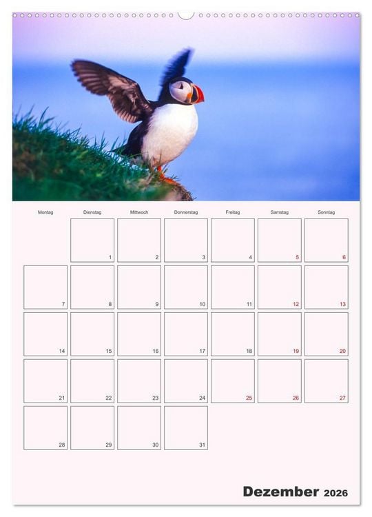 Produktbild: Papageitaucher Monatsplaner (Wandkalender 2026 DIN A2 hoch), CALVENDO Monatskalender