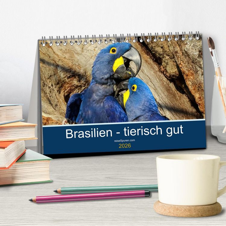 Produktbild: Brasilien tierisch gut 2026 (Tischkalender 2026 DIN A5 quer), CALVENDO Monatskalender