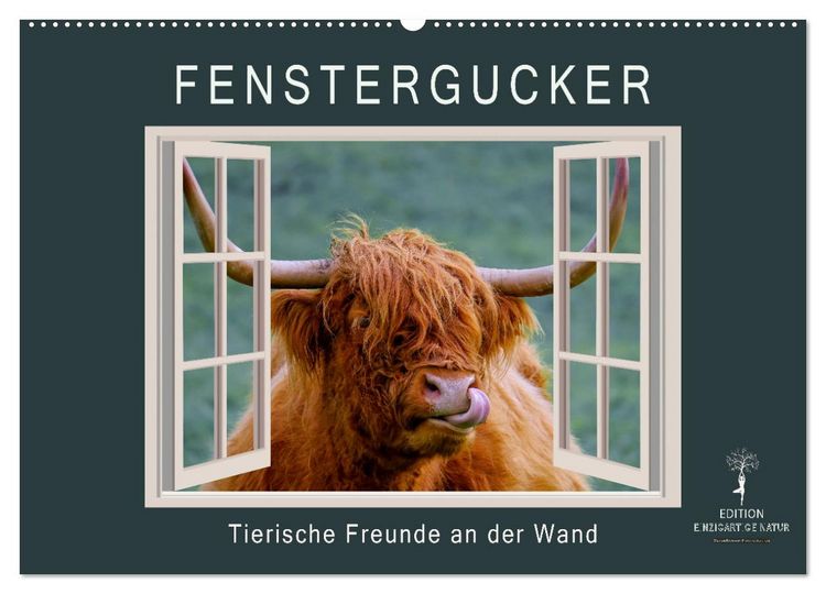 Produktbild: Fenstergucker - tierische Freunde an der Wand (Wandkalender 2026 DIN A2 quer), CALVENDO Monatskalender