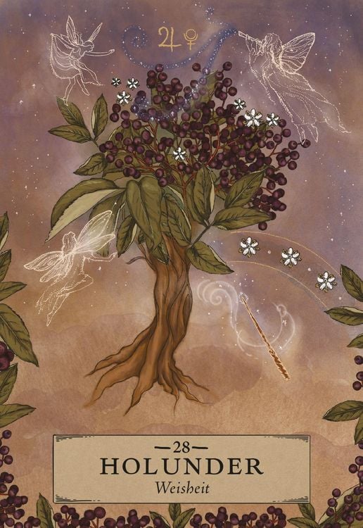 Herbal Astrology Orakel: 55 Karten mit Botschaften und Anleitungen