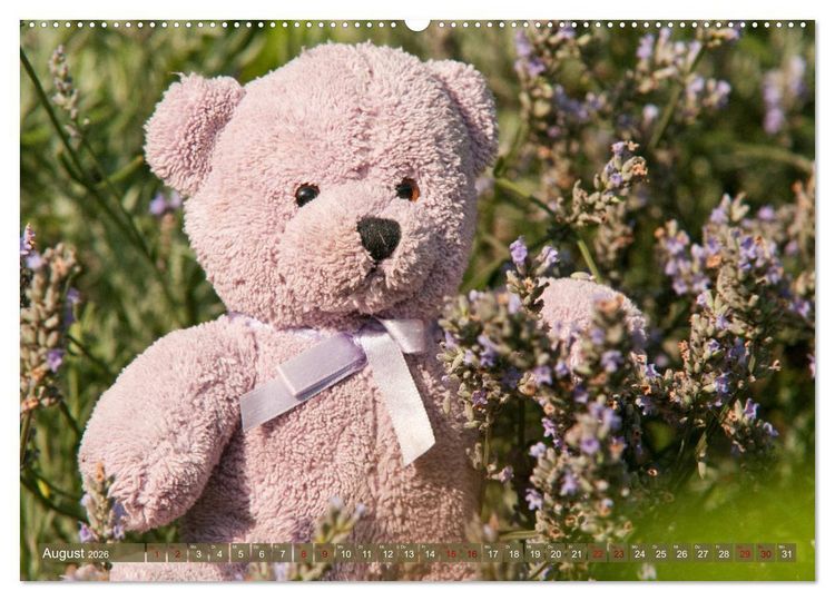 Produktbild: Kunterbunte B&auml;renwelt - Teddys (hochwertiger Premium Wandkalender 2026 DIN A2 quer), Kunstdruck in Hochglanz