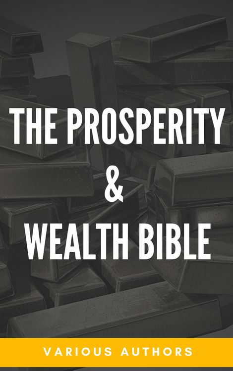Produktbild: The Prosperity & Wealth Bible