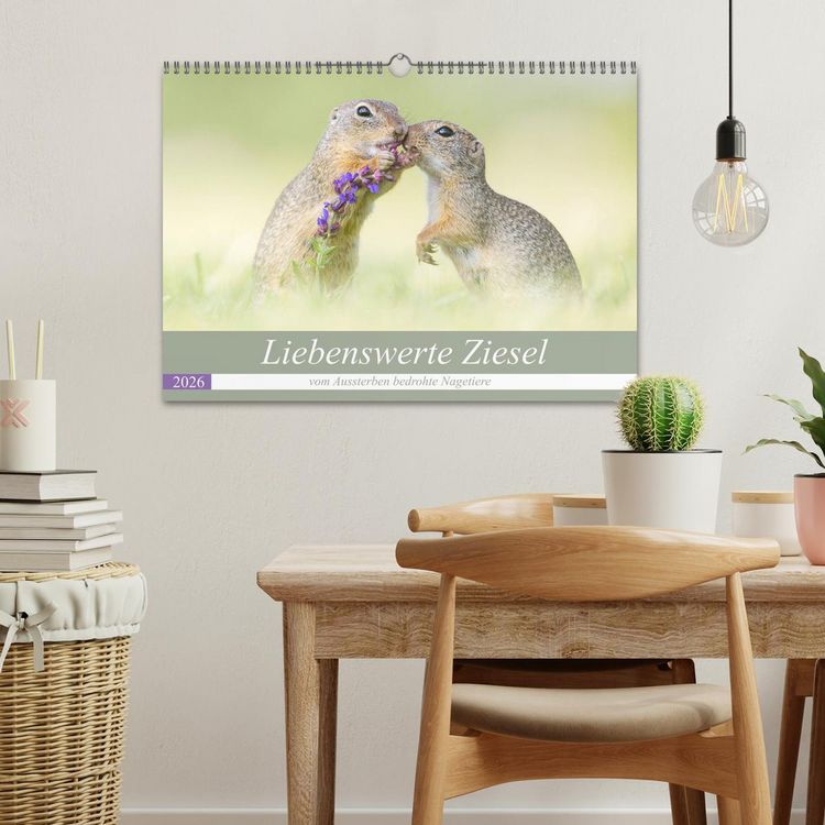 Produktbild: Liebenswerte Ziesel - vom Aussterben bedrohte Nagetiere (Wandkalender 2026 DIN A3 quer), CALVENDO Monatskalender