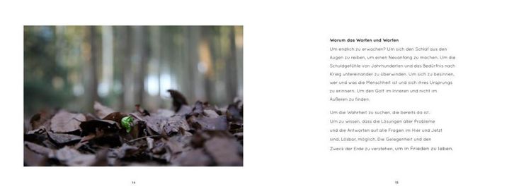Produktbild: Das Blaue Juwel