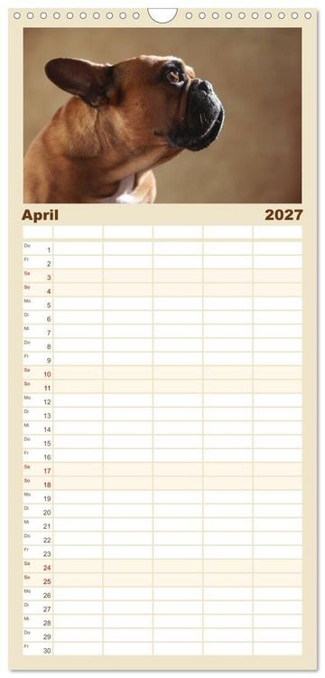Produktbild: Familienplaner 2027 - Charme auf vier Pfoten - Franz&ouml;sische Bulldoggen Portraits mit 5 Spalten (Wandkalender, 21 x 45 cm) CALVENDO