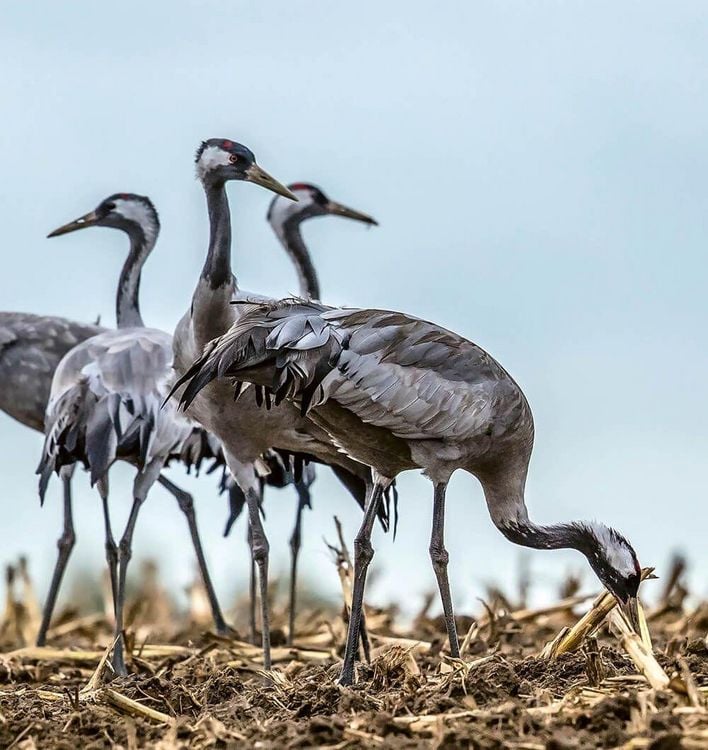 Produktbild: Entdeckertouren mit dem Wohnmobil Mecklenburg-Vorpommern Der Westen