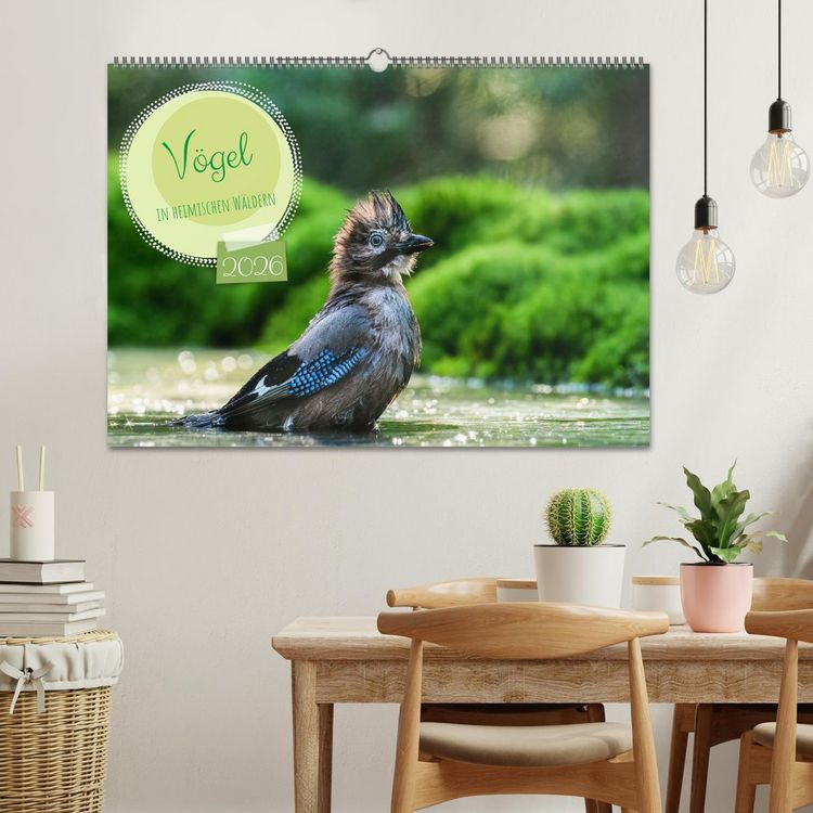 Produktbild: V&ouml;gel in heimischen W&auml;ldern (Wandkalender 2026 DIN A2 quer), CALVENDO Monatskalender