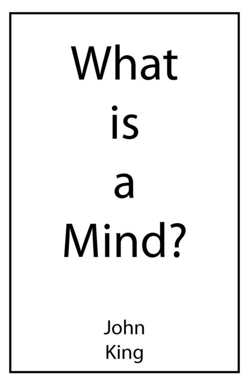 Produktbild: What is a Mind?
