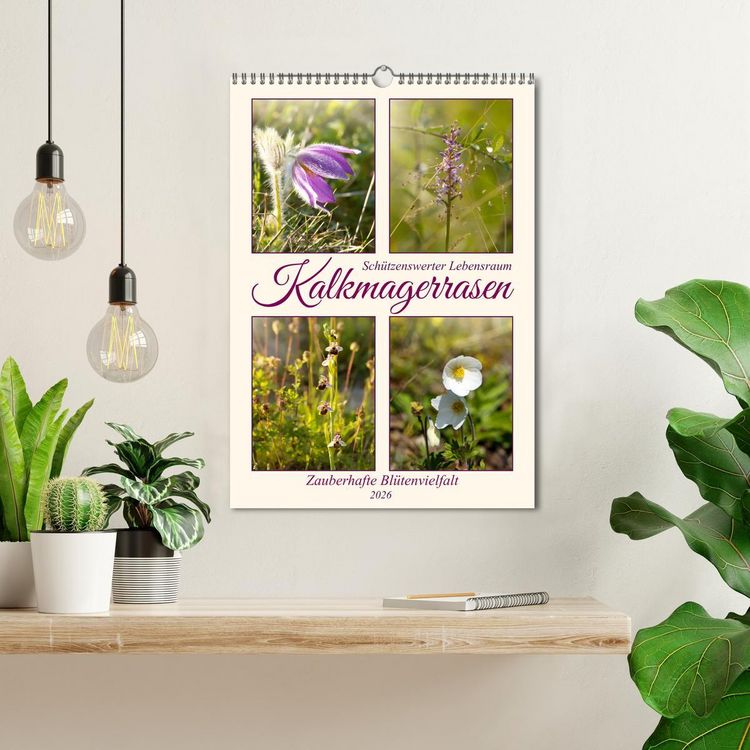 Produktbild: Kalkmagerrasen (Wandkalender 2026 DIN A3 hoch), CALVENDO Monatskalender
