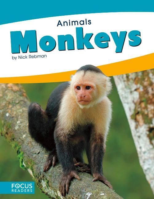 Produktbild: Monkeys