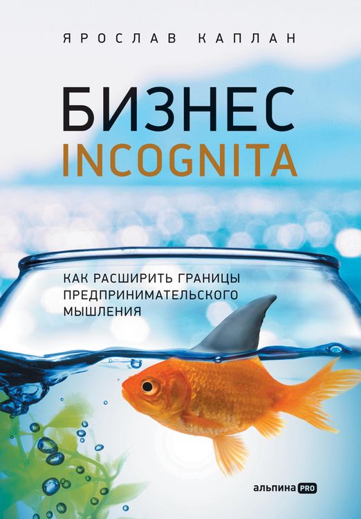Produktbild: Biznes incognita: Kak rasshirit granitsy predprinimatelskogo myshleniya