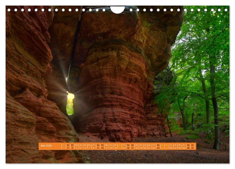 Produktbild: Magischer Pf&auml;lzer Wald (Wandkalender 2026 DIN A4 quer), CALVENDO Monatskalender