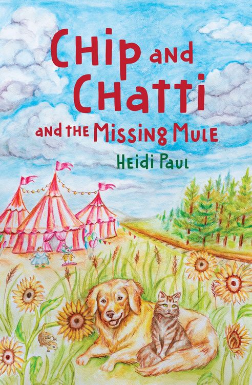 Produktbild: Chip and Chatti and the Missing Mule