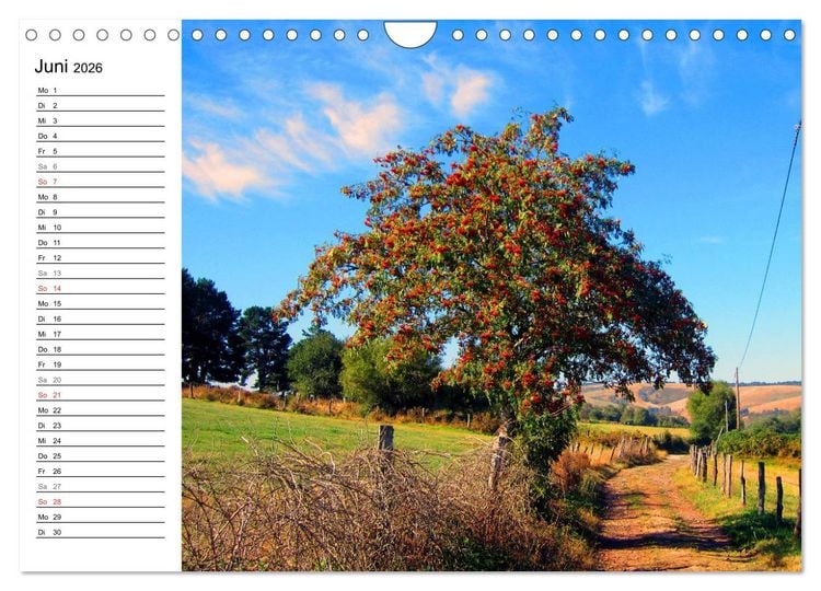 Produktbild: Jakobsweg - Camino Primitivo (Wandkalender 2026 DIN A4 quer), CALVENDO Monatskalender