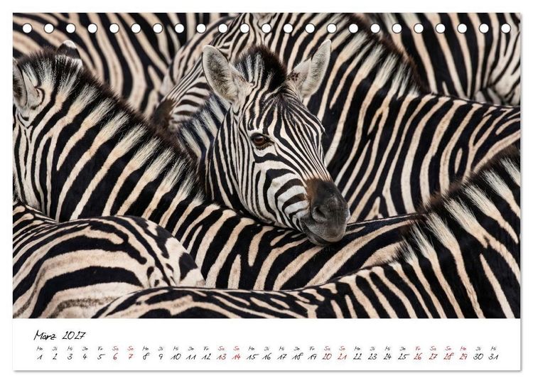 Produktbild: Better Together - Herdenmomente (Tischkalender 2027 DIN A5 quer), CALVENDO Monatskalender