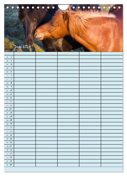 Produktbild: Island Familienplaner (Wandkalender 2026 DIN A4 hoch), CALVENDO Monatskalender