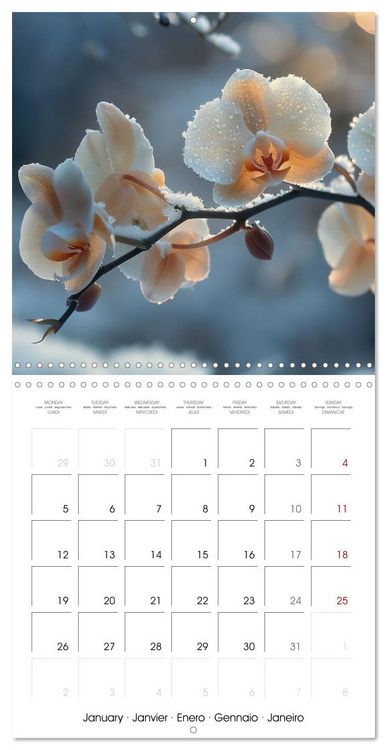 Produktbild: colorful orchid family planner (Wall Calendar 2026 12 &times; 12 Inch) CALVENDO 12 Month Wall Calendar