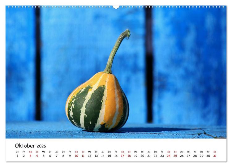 Produktbild: Eine Reise ins magische Donaudelta (Wandkalender 2026 DIN A2 quer), CALVENDO Monatskalender