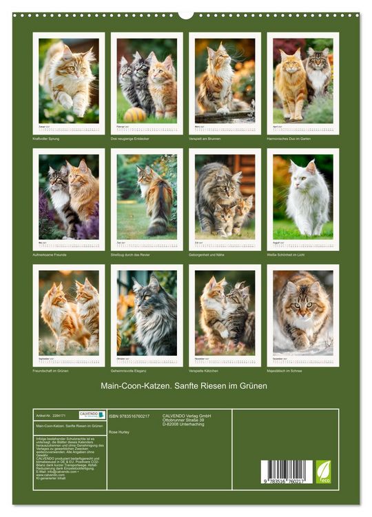 Produktbild: Main-Coon-Katzen. Sanfte Riesen im Gr&uuml;nen (hochwertiger Premium Wandkalender 2027 DIN A2 hoch), Kunstdruck in Hochglanz