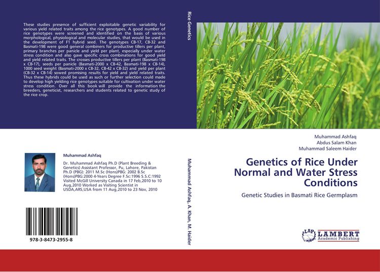 Produktbild: Genetics of Rice Under Normal and Water Stress Conditions