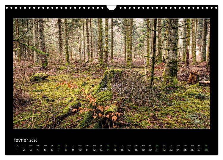 Produktbild: L'Auvergne est belle (Calendrier mural 2026 DIN A3 vertical), CALVENDO calendrier mensuel