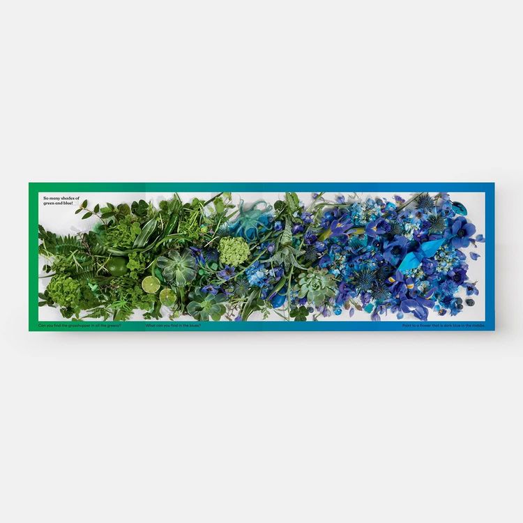 Produktbild: Rainbows in Bloom