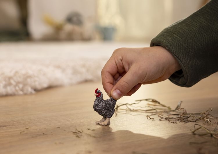 Produktbild: schleich&reg; 13997 Plymouth Rock Huhn