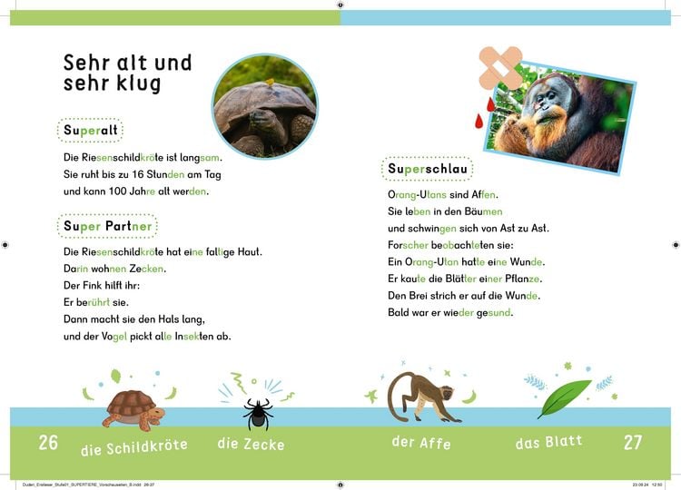Produktbild: Dein Lesestart: Wei&szlig;t du schon alles &uuml;ber Supertiere? Ab 1. Klasse