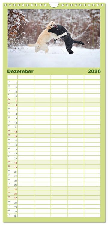 Produktbild: Familienplaner 2026 - Labrador Retriever mit 5 Spalten (Wandkalender, 21 x 45 cm) CALVENDO