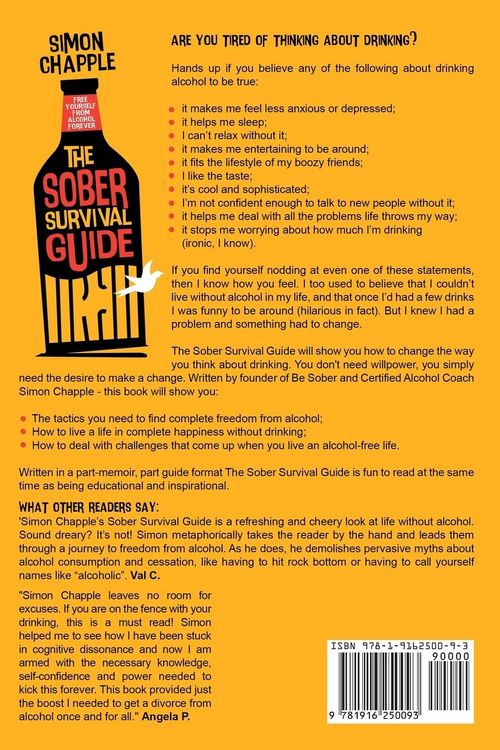 Produktbild: The Sober Survival Guide