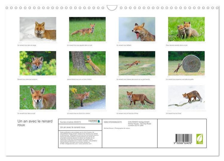 Produktbild: Un an avec le renard roux (Calendrier mural 2027 DIN A3 vertical), CALVENDO calendrier mensuel