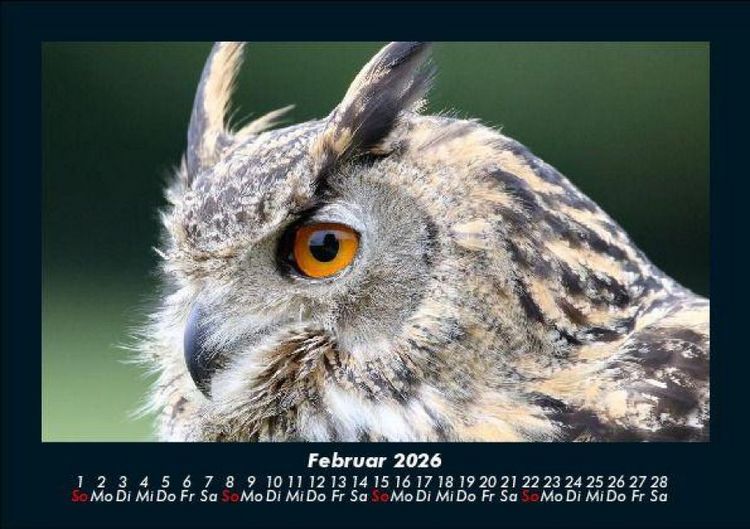 Produktbild: Welt der V&ouml;gel 2026 Fotokalender DIN A5