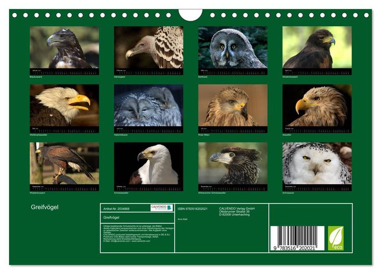 Produktbild: Greifv&ouml;gel (Wandkalender 2026 DIN A4 quer), CALVENDO Monatskalender