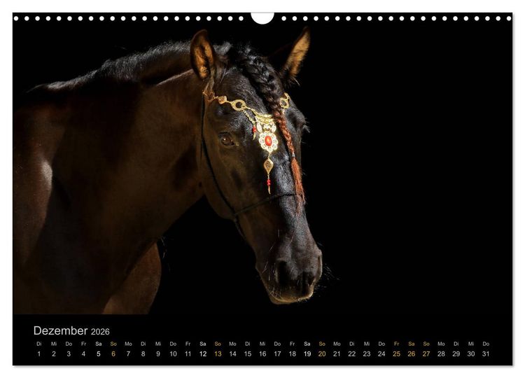 Produktbild: Magische Momente - Pferde Horses Caballos (Wandkalender 2026 DIN A3 quer), CALVENDO Monatskalender