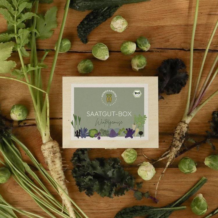 Produktbild: Bio-Saatgutbox WINTERGEM&Uuml;SE