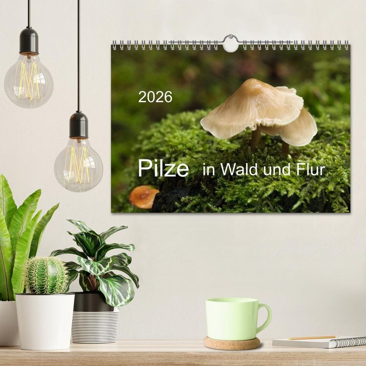 Produktbild: Pilze in Wald und Flur (Wandkalender 2026 DIN A4 quer), CALVENDO Monatskalender