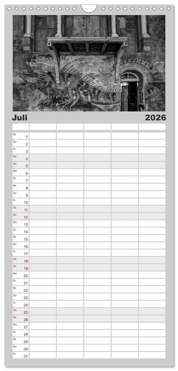 Produktbild: Familienplaner 2026 - Lost Beauty mit 5 Spalten (Wandkalender, 21 x 45 cm) CALVENDO