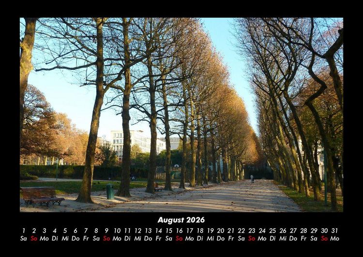 Produktbild: B&auml;ume 2026 Fotokalender DIN A3