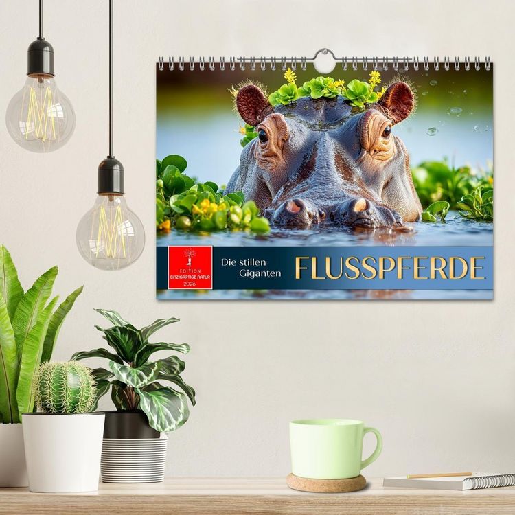 Produktbild: Flusspferde - die stillen Giganten (Wandkalender 2026 DIN A4 quer), CALVENDO Monatskalender